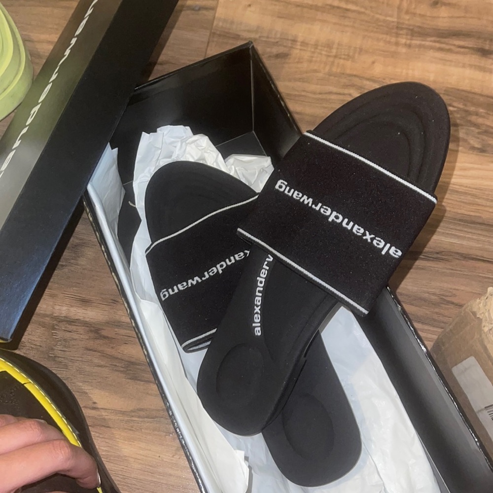 Alexander wang